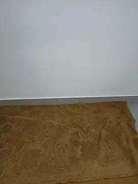 Freechat Family02 on StripChat